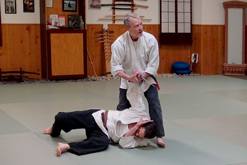 Audubon Aiki Jujutsu