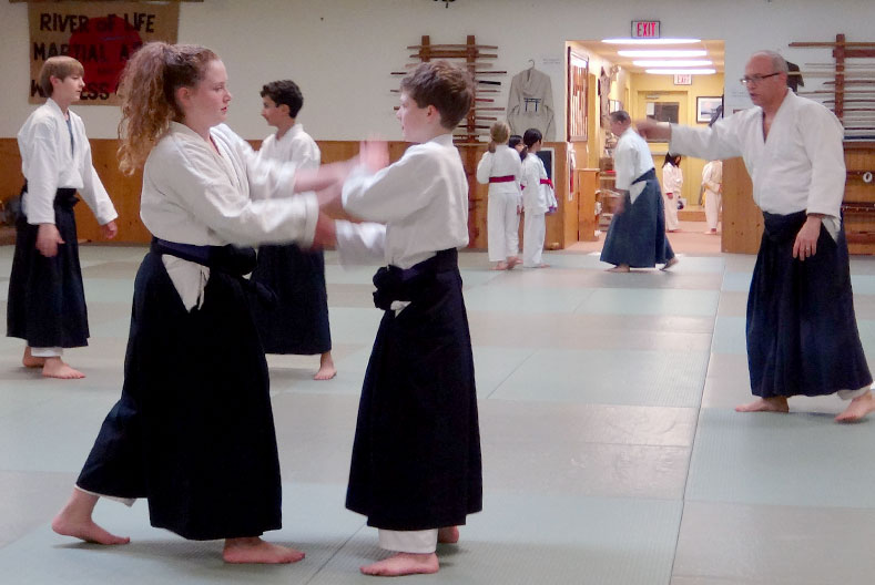 Gwynedd Valley Childrens Aikido