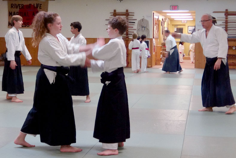 Spring House Childrens Aikido